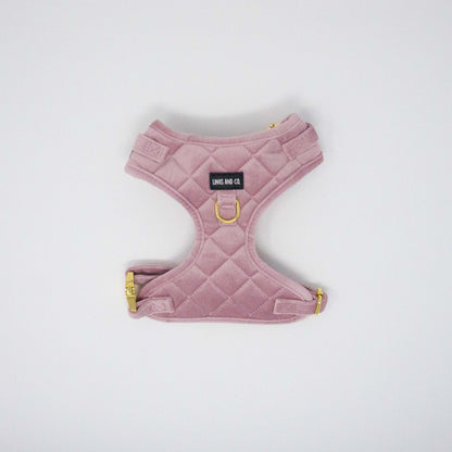 Blush Comfort Harness