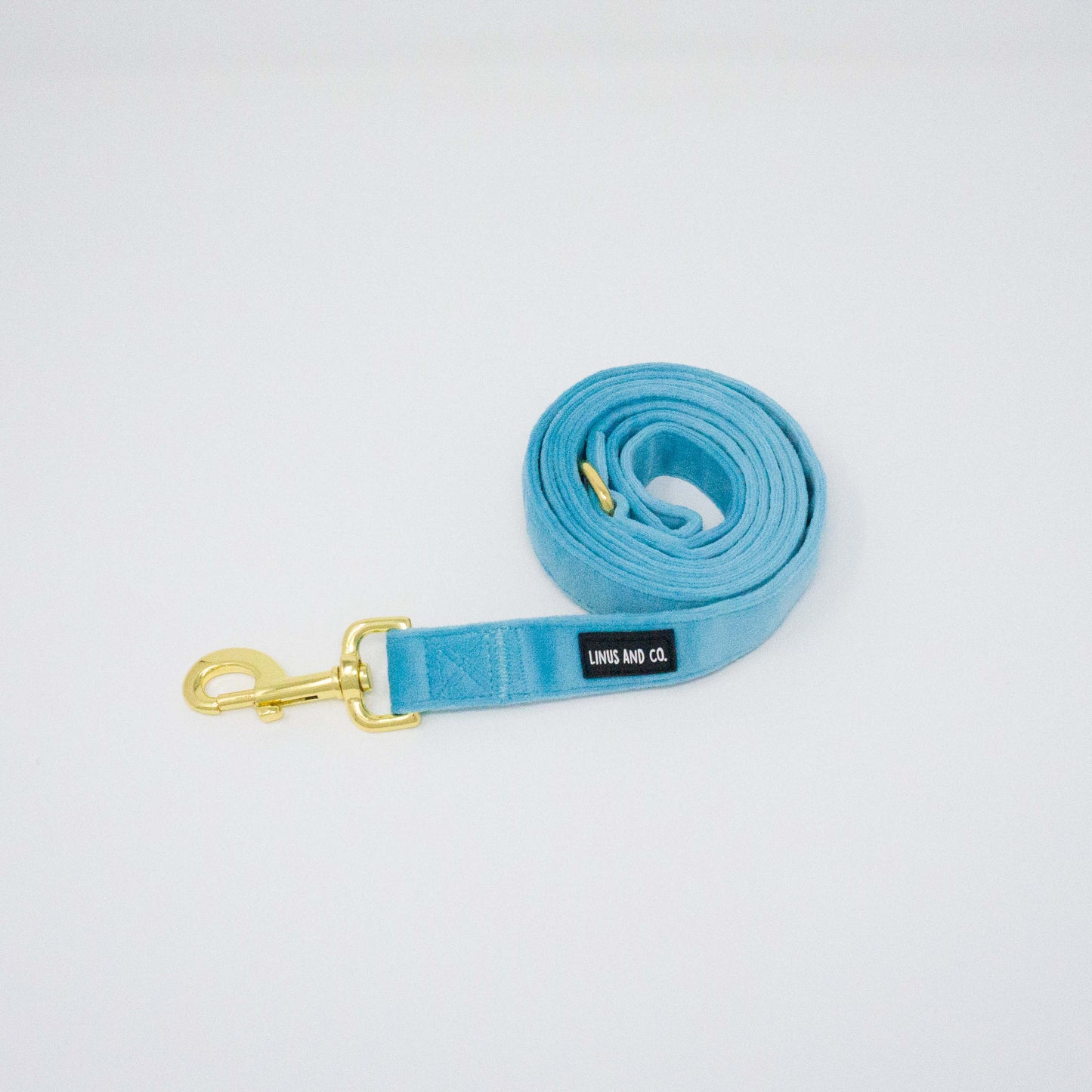 Azure Comfort Leash