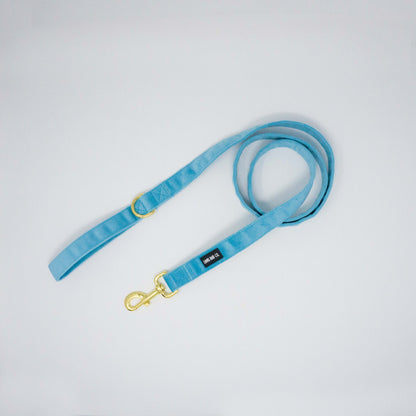 Azure Comfort Leash