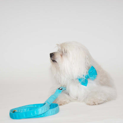 Azure Comfort Leash