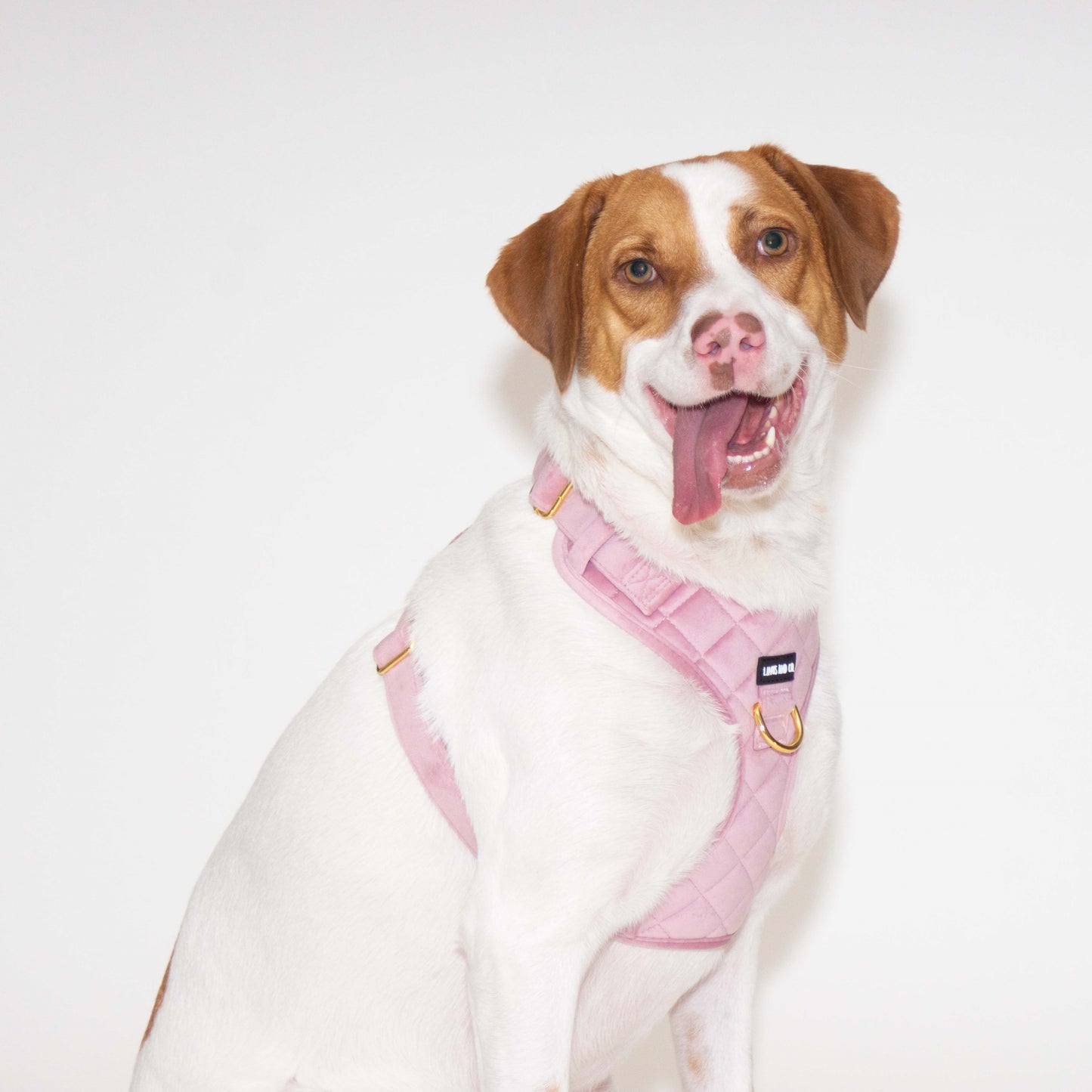 Blush Comfort Harness