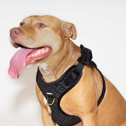 Noir Comfort Harness